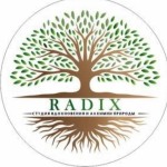 Студия Radix